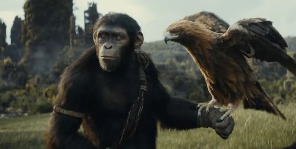 Box Office: ‘Kingdom of the Planet of the Apes’ Budget & Collection Numbers